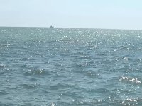 �� ����� ���������� ������� ��������� ������ �������(���� � �����)