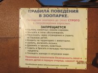 ������ ���� �� ���������� �������!!!(���� � �����)
