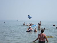 � ������ ������� ����� �������� �� ���������� ������� ����������� ����������!!!(����)