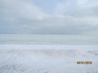 04.01.2016 �������� ���� �� ���������� ������� ��������  �������� (�����)