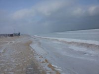 04.01.2016 �������� ���� �� ���������� ������� ��������  �������� (�����)