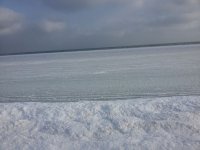 04.01.2016 �������� ���� �� ���������� ������� ��������  �������� (�����)