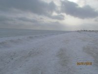 04.01.2016 �������� ���� �� ���������� ������� ��������  �������� (�����)