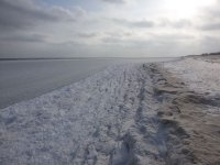 04.01.2016 �������� ���� �� ���������� ������� ��������  �������� (�����)