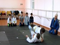 � �. ������������ ���������� ��������  ������ ��  ����� (�����)
